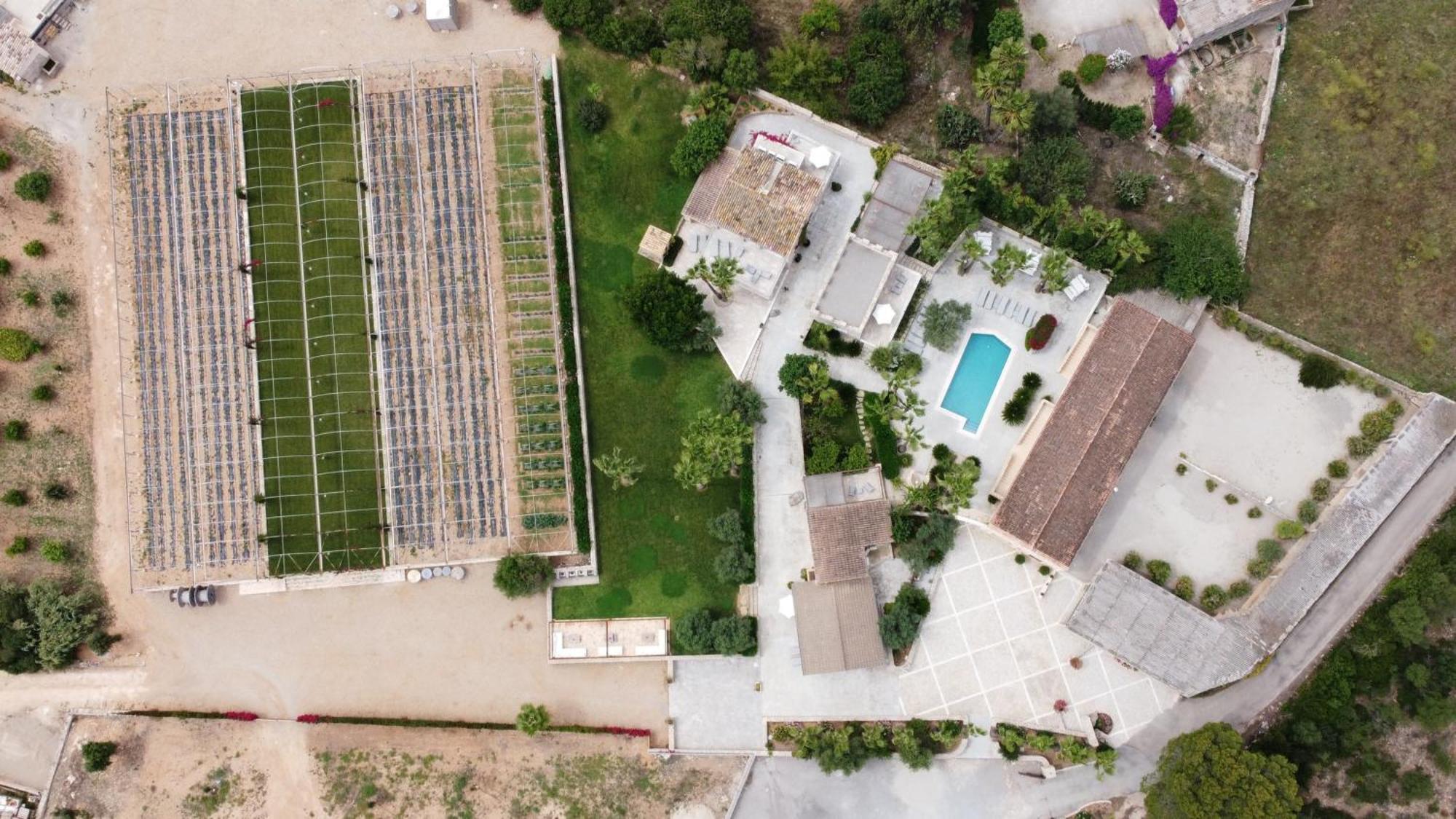 Villa Sa Talaia Blanca Muro Exterior foto